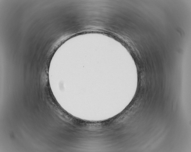 X0000110691363200907241055