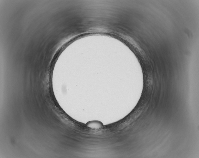 X0000110691364200907241055