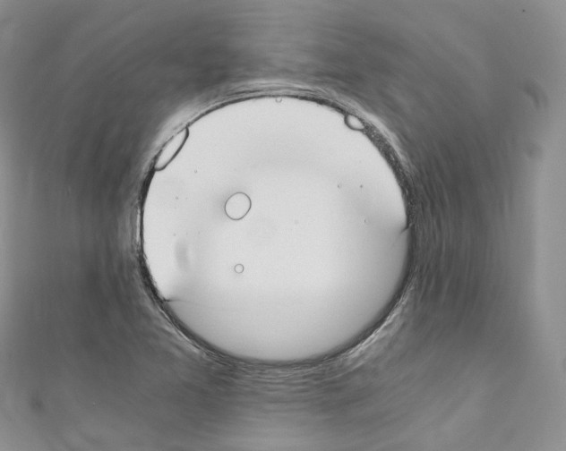 X0000110691365200907241055