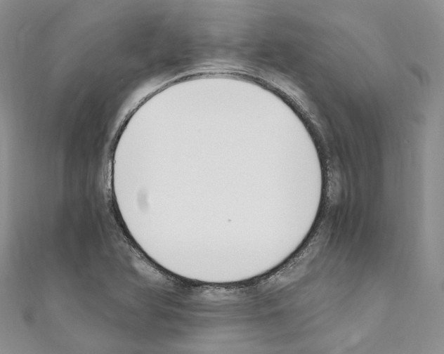 X0000110691366200907241055