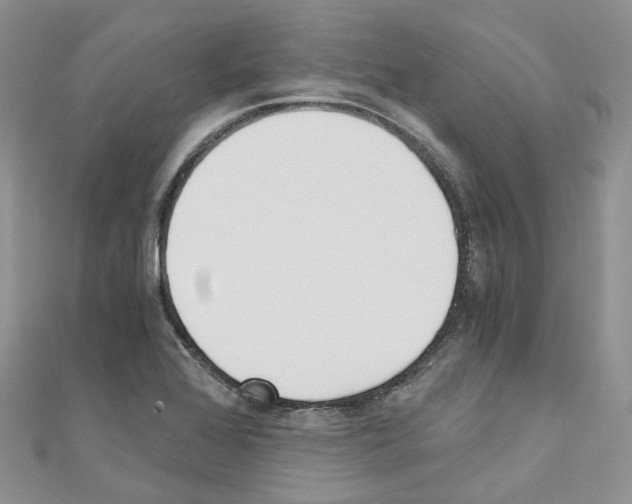 X0000110691368200907241055