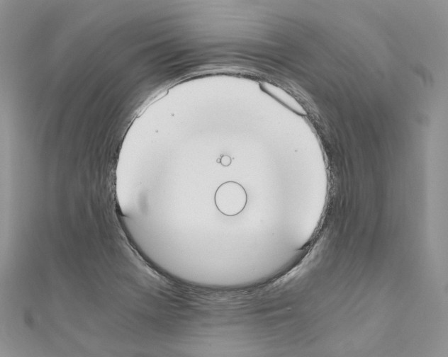 X0000110691369200907241055