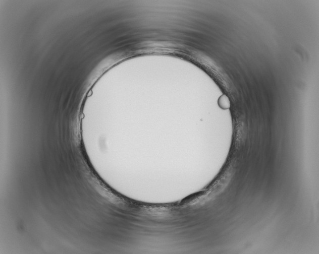 X0000110691370200907241055