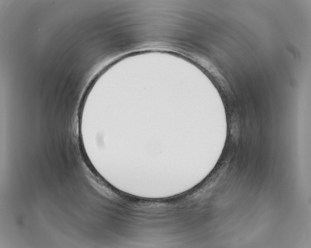 X0000110691372200907241055