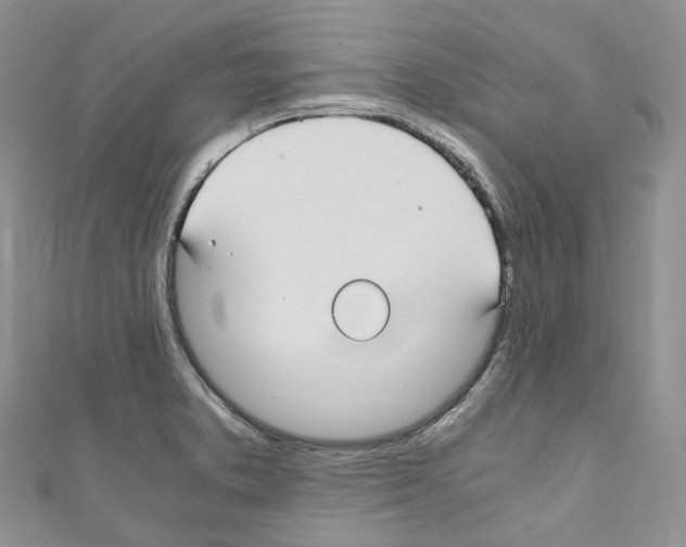 X0000110691373200907241055