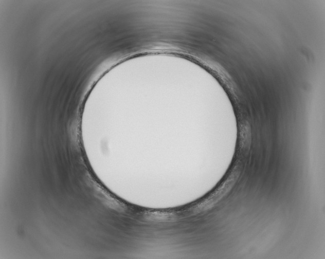 X0000110691374200907241055