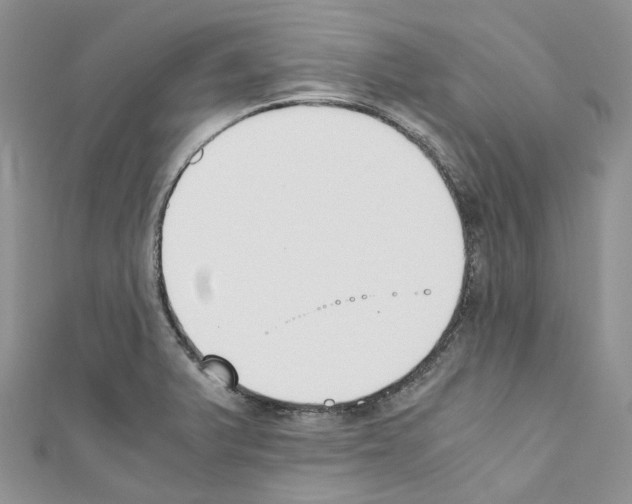 X0000110691375200907241055