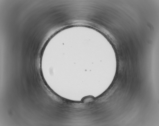 X0000110691376200907241055