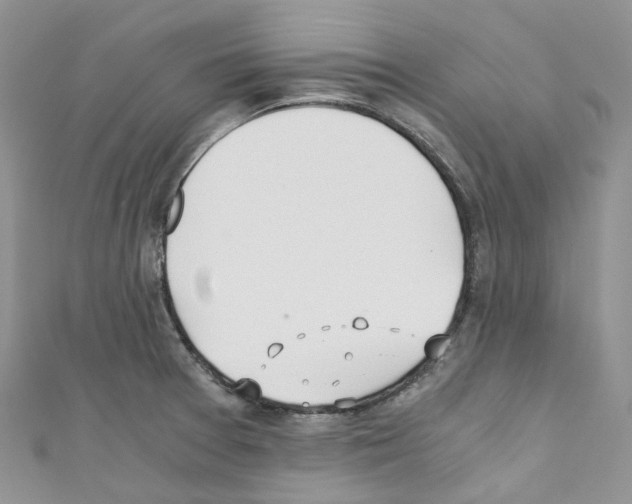 X0000110691377200907241055