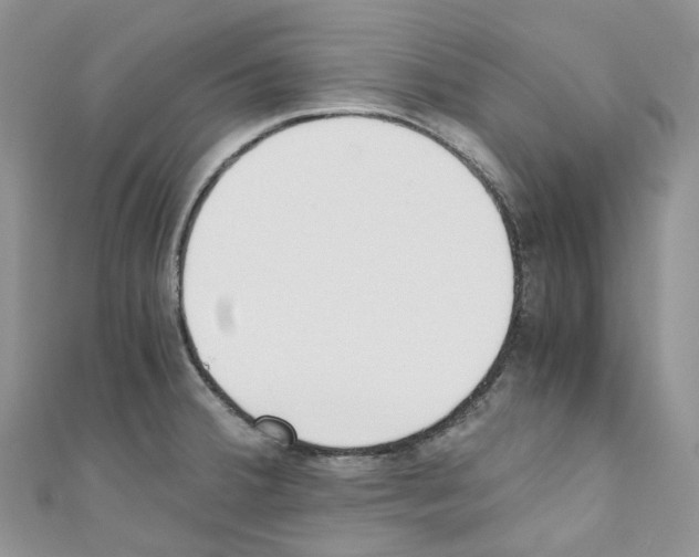 X0000110691380200907241055