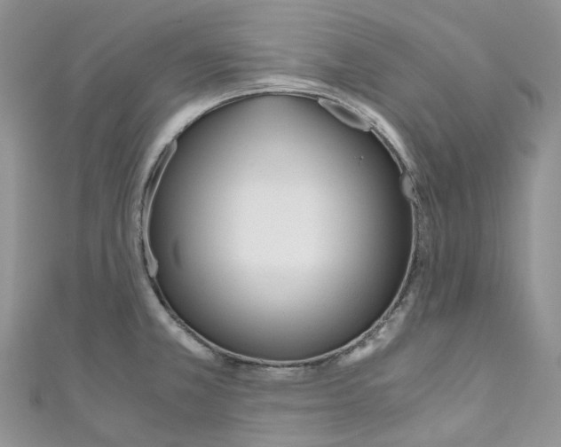 X0000110691381200907241055