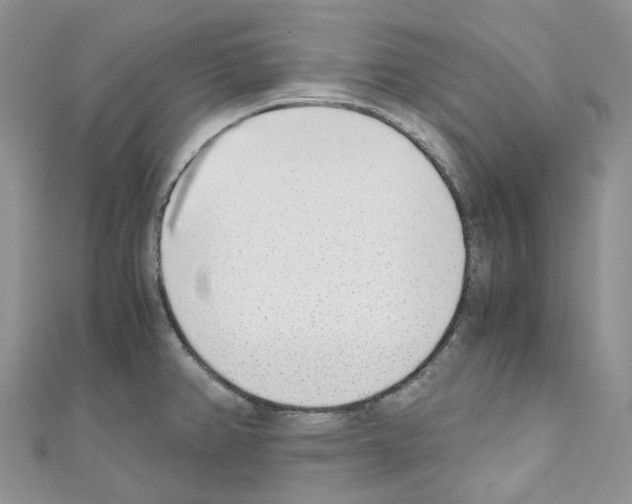 X0000110691382200907241055