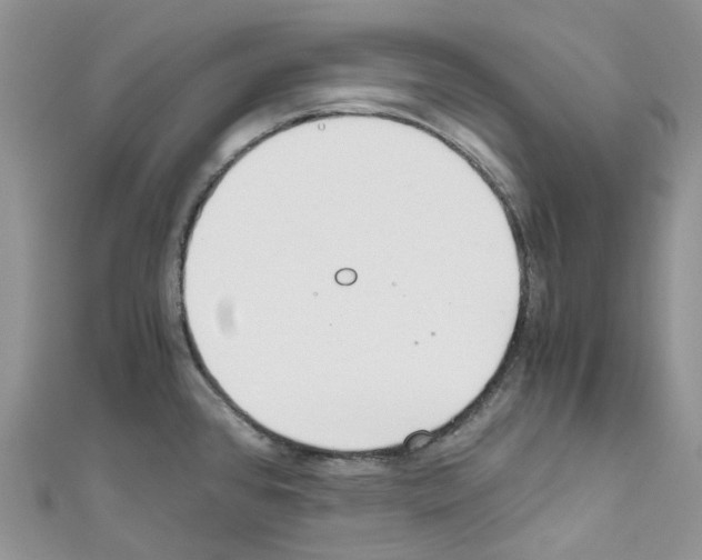 X0000110691384200907241055