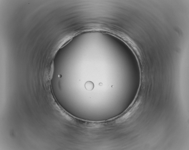 X0000110691385200907241055