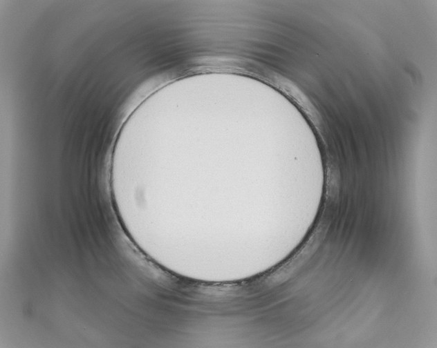 X0000110691386200907241055