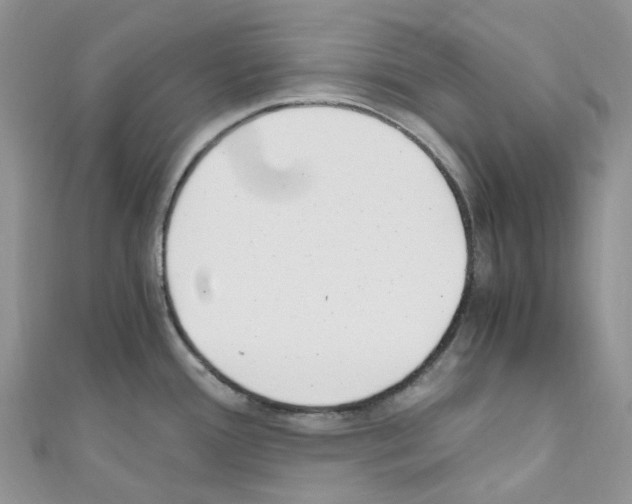 X0000110691388200907241055