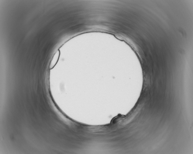 X0000110691391200907241054