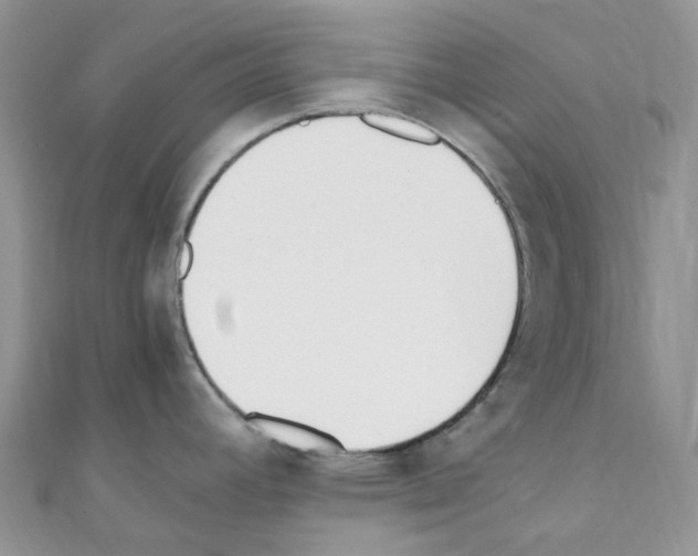 X0000110691392200907241054