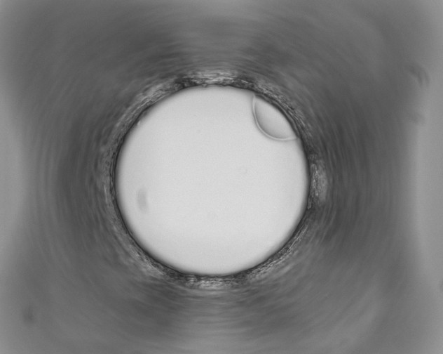 X0000110691393200907241054