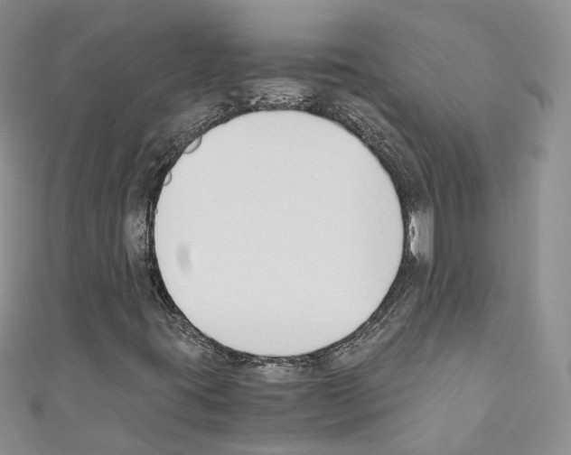 X0000110691395200907241054