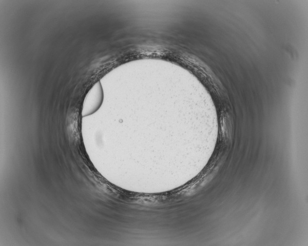 X0000110691396200907241054