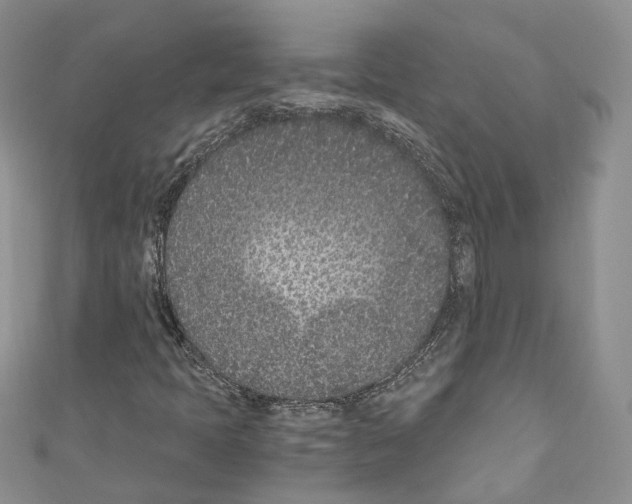 X0000110691397200907241054