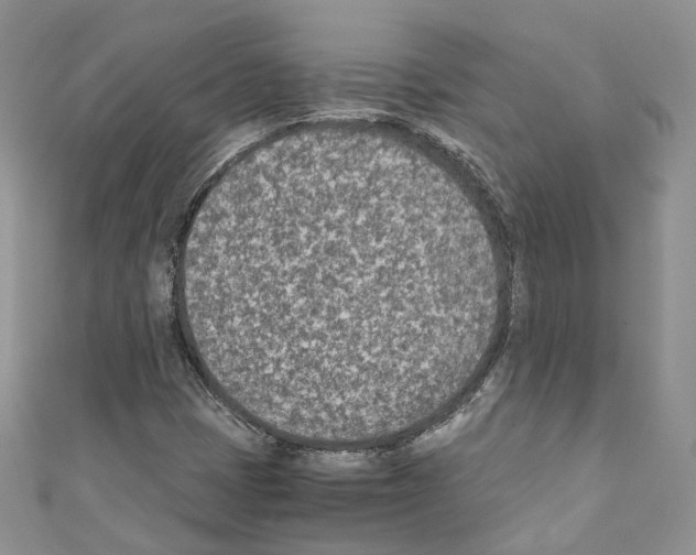 X0000110691401200907241054