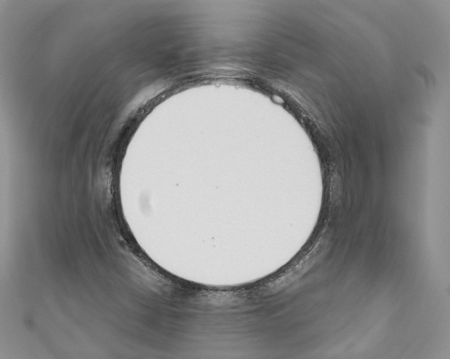 X0000110691402200907241054