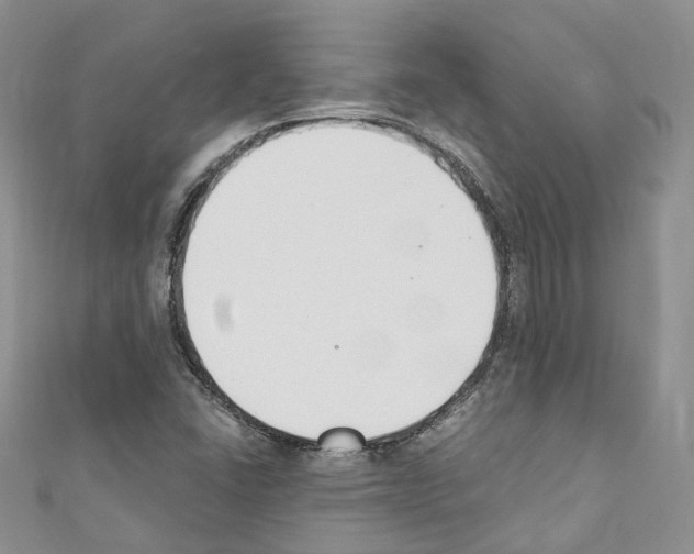 X0000110691406200907241054