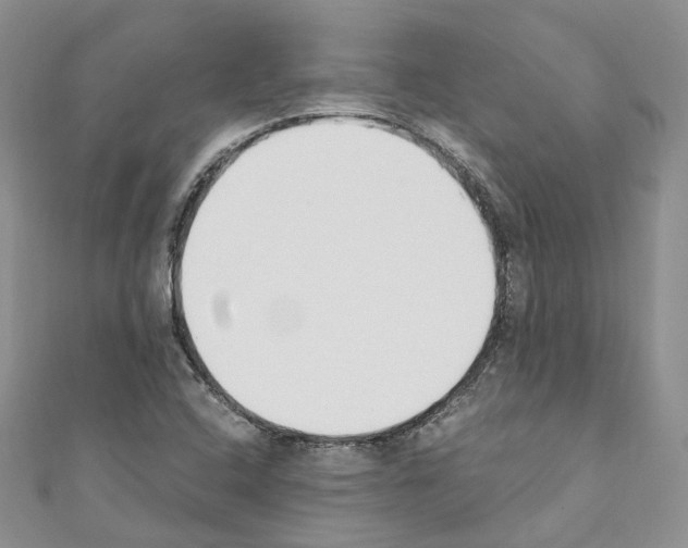 X0000110691408200907241054