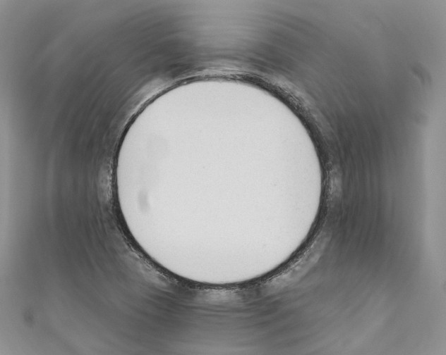 X0000110691409200907241054