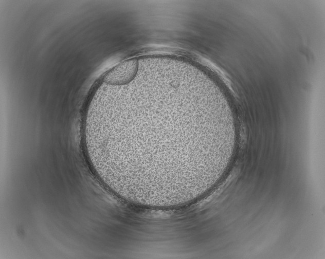 X0000110691411200907241054