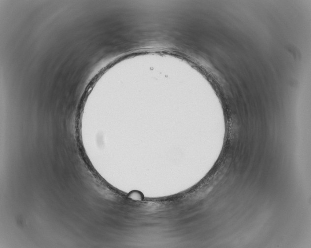 X0000110691412200907241054