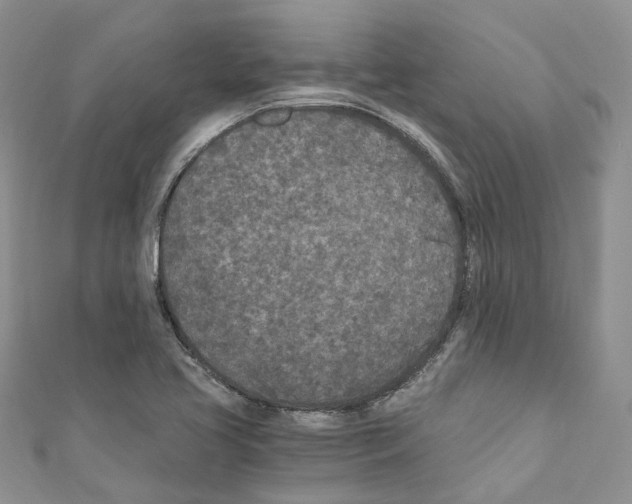 X0000110691413200907241054