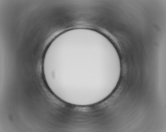 X0000110691415200907241054