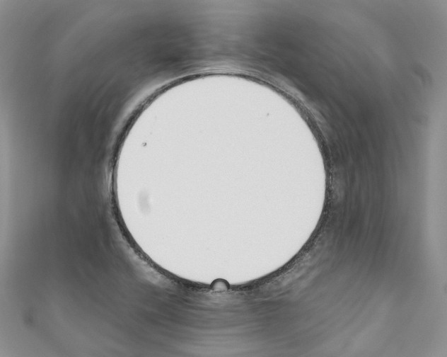 X0000110691416200907241054