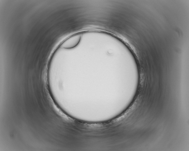 X0000110691421200907241054