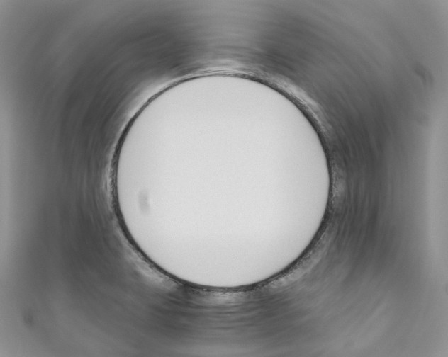 X0000110691423200907241054