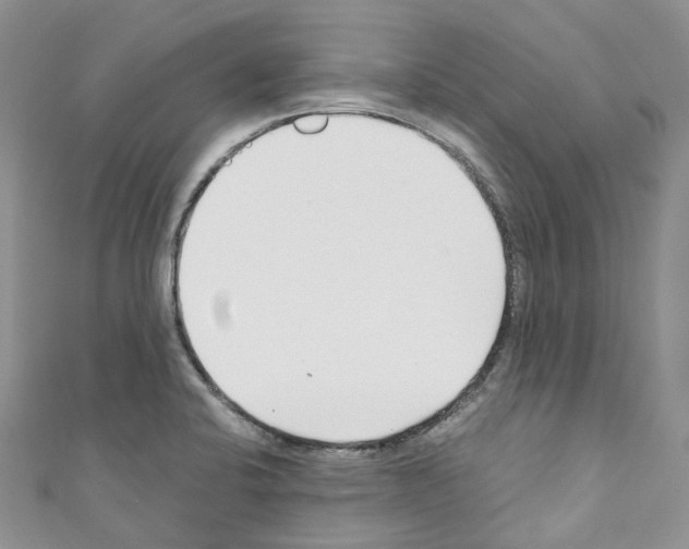 X0000110691424200907241054