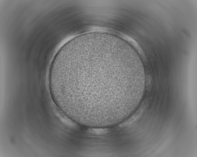 X0000110691427200907241054