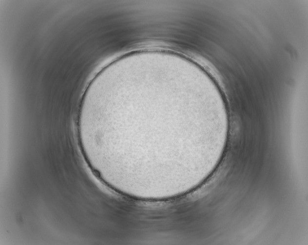 X0000110691429200907241054