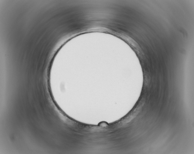 X0000110691430200907241054