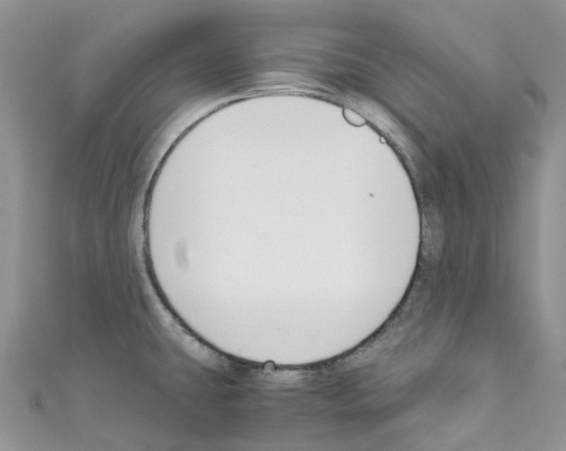 X0000110691431200907241054