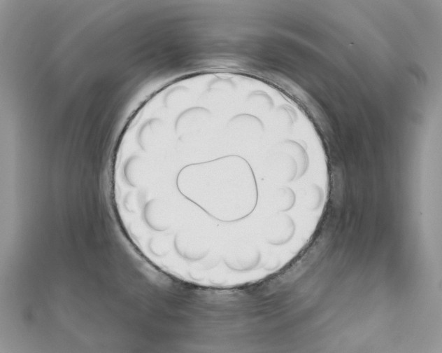 X0000110691432200907241054