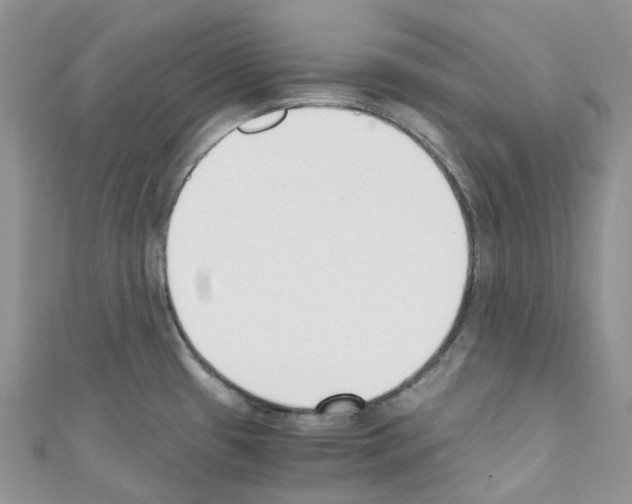 X0000110691433200907241054