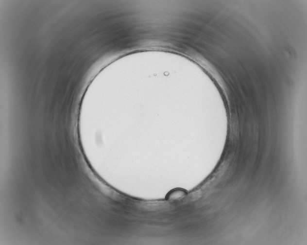 X0000110691437200907241054