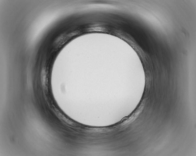 X0000110691438200907241054