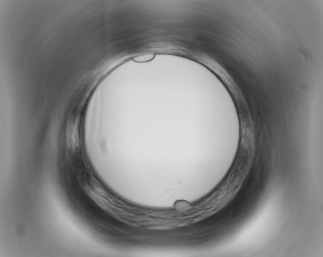 X0000110691439200907241054