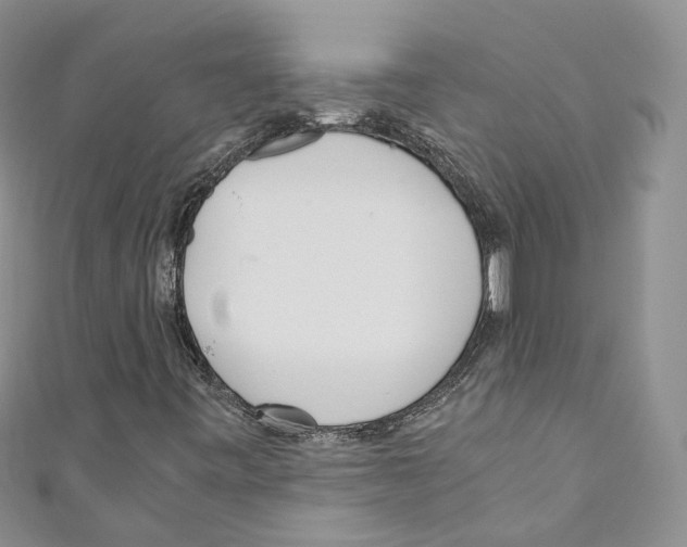 X0000110691443200907241054