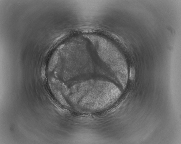 X0000110691444200907241054